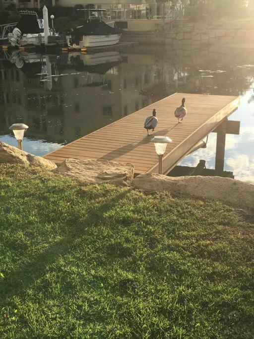 Broadwater Canal Frontage-Runaway Bay-Boat Ramp Gold Coast Exterior foto